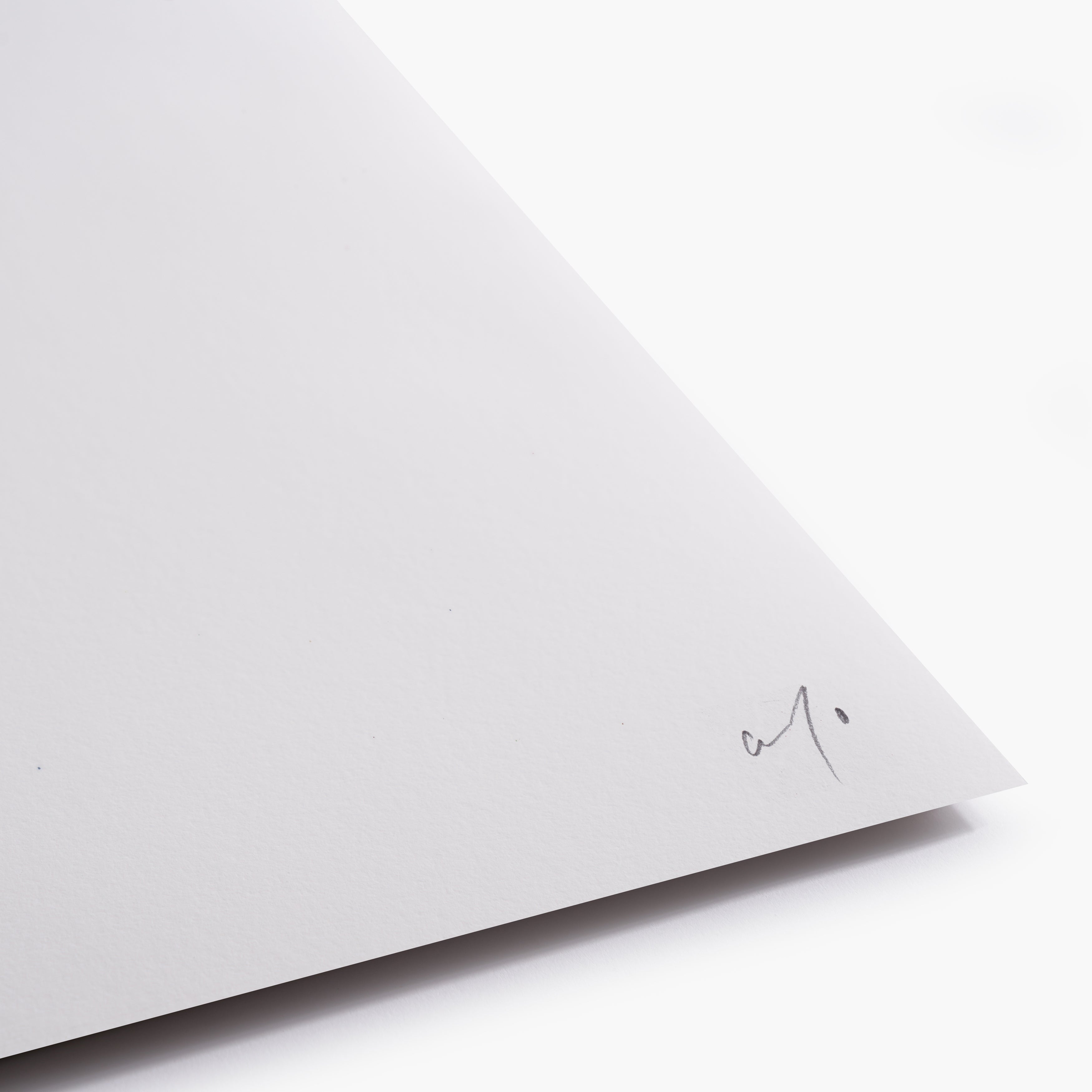 Collector Set - Print Only