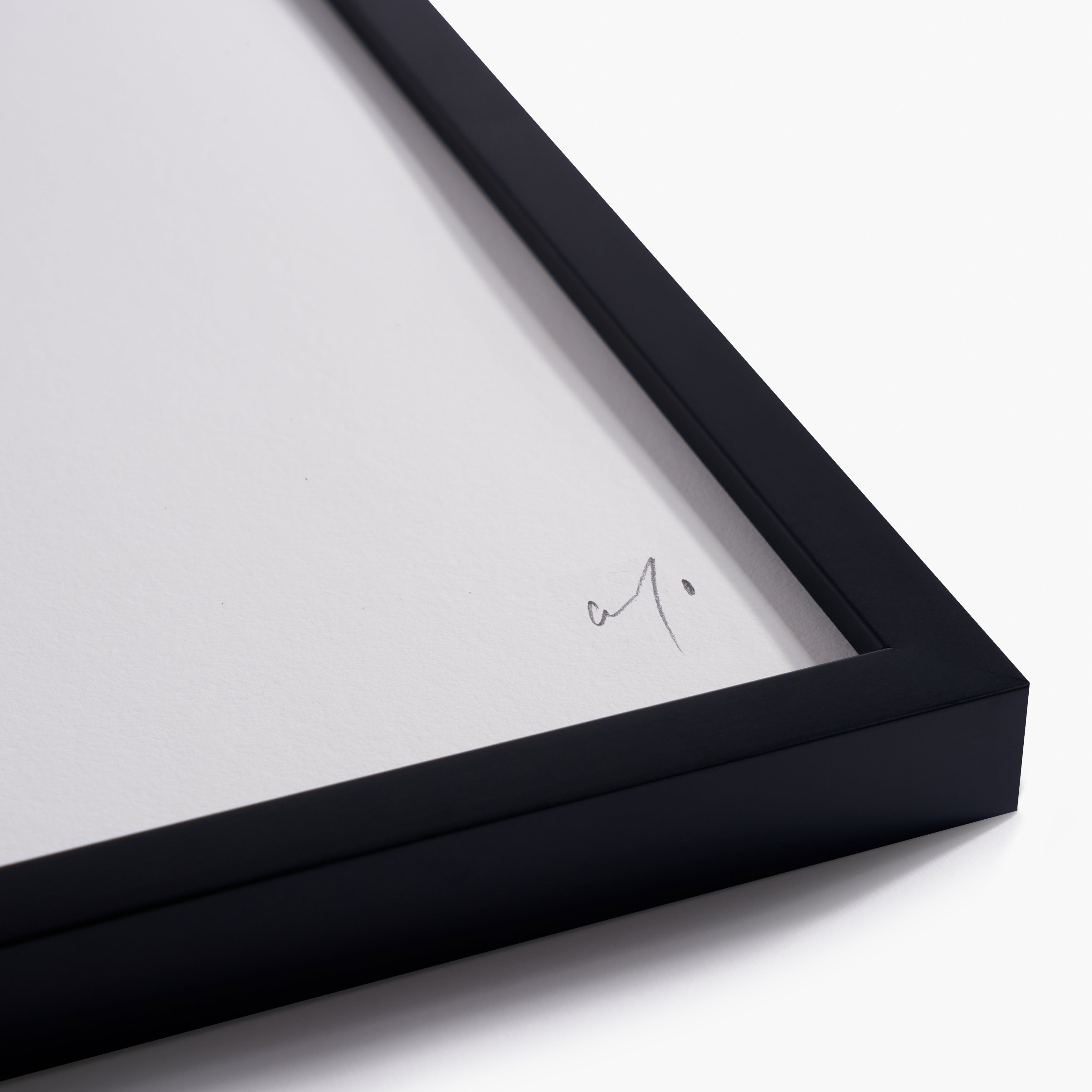 Collector Set - Black Framed